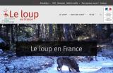 Site web le loup en France